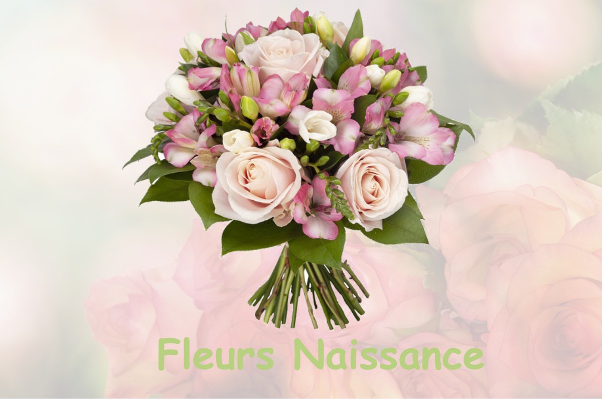 fleurs naissance RAMBLUZIN-ET-BENOITE-VAUX