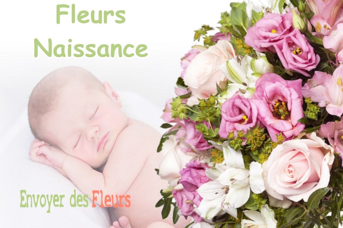 lIVRAISON FLEURS NAISSANCE à RAMBLUZIN-ET-BENOITE-VAUX